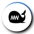 MegaWhale Crypto