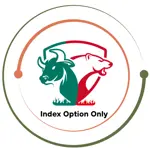 Index option only